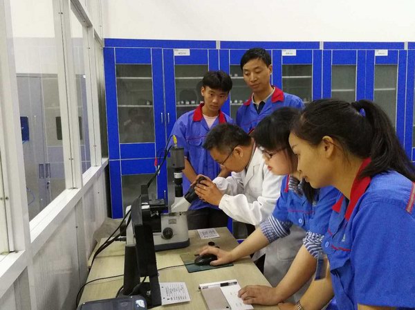 67381����-��Ϸ�ٷ���վ