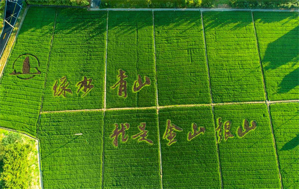 67381¶¥¼¶-ÓÎÏ·¹Ù·½ÍøÕ¾